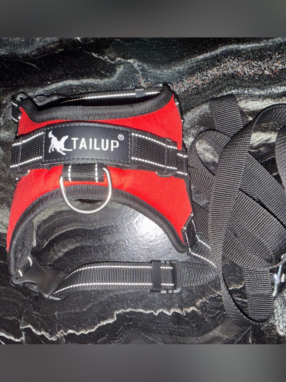 Tail Red Padded Dog Harness with Black Leash